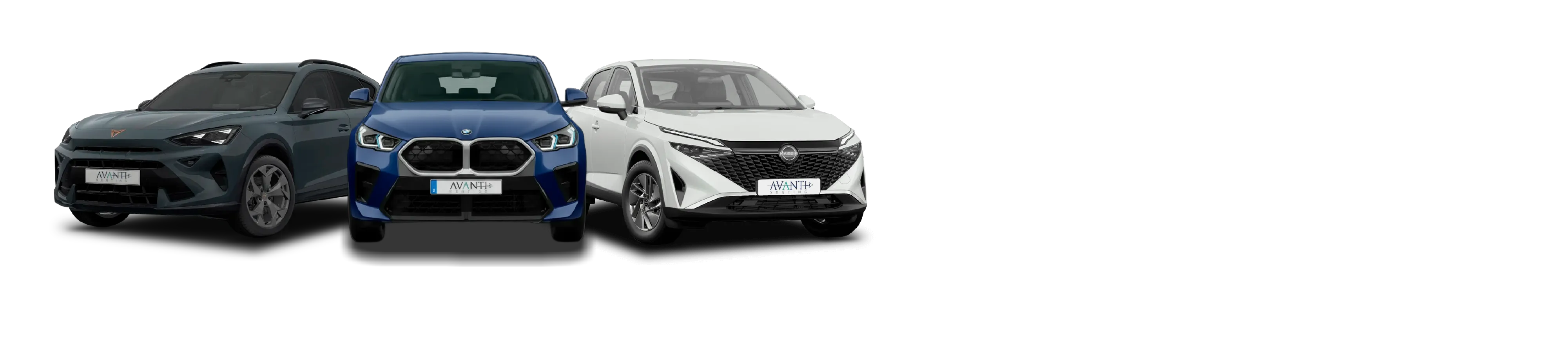 Coches renting